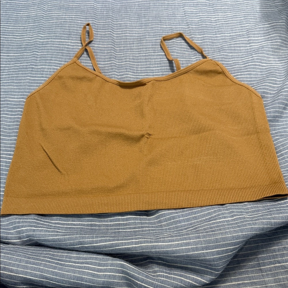 Wild Fable Brown Ribbed Crop Top